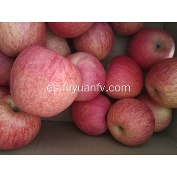 Manzana Qinguan fresca con color de rayas
